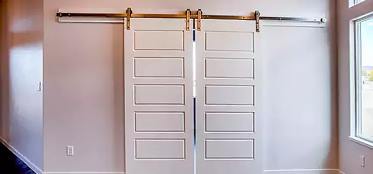 Glass Barn Door with Installation Hardware Kit Clemmons