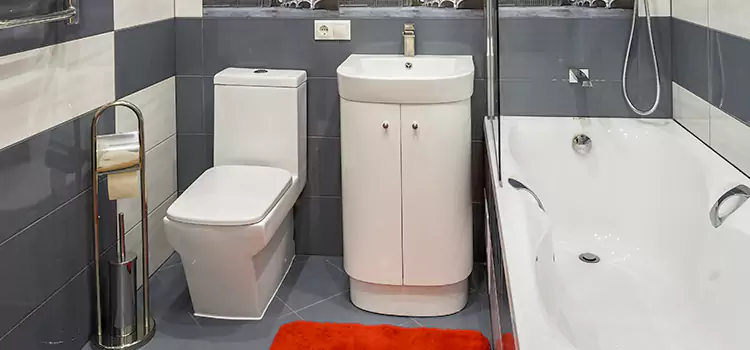 Hansgrohe Shaving Mirror Clemmons